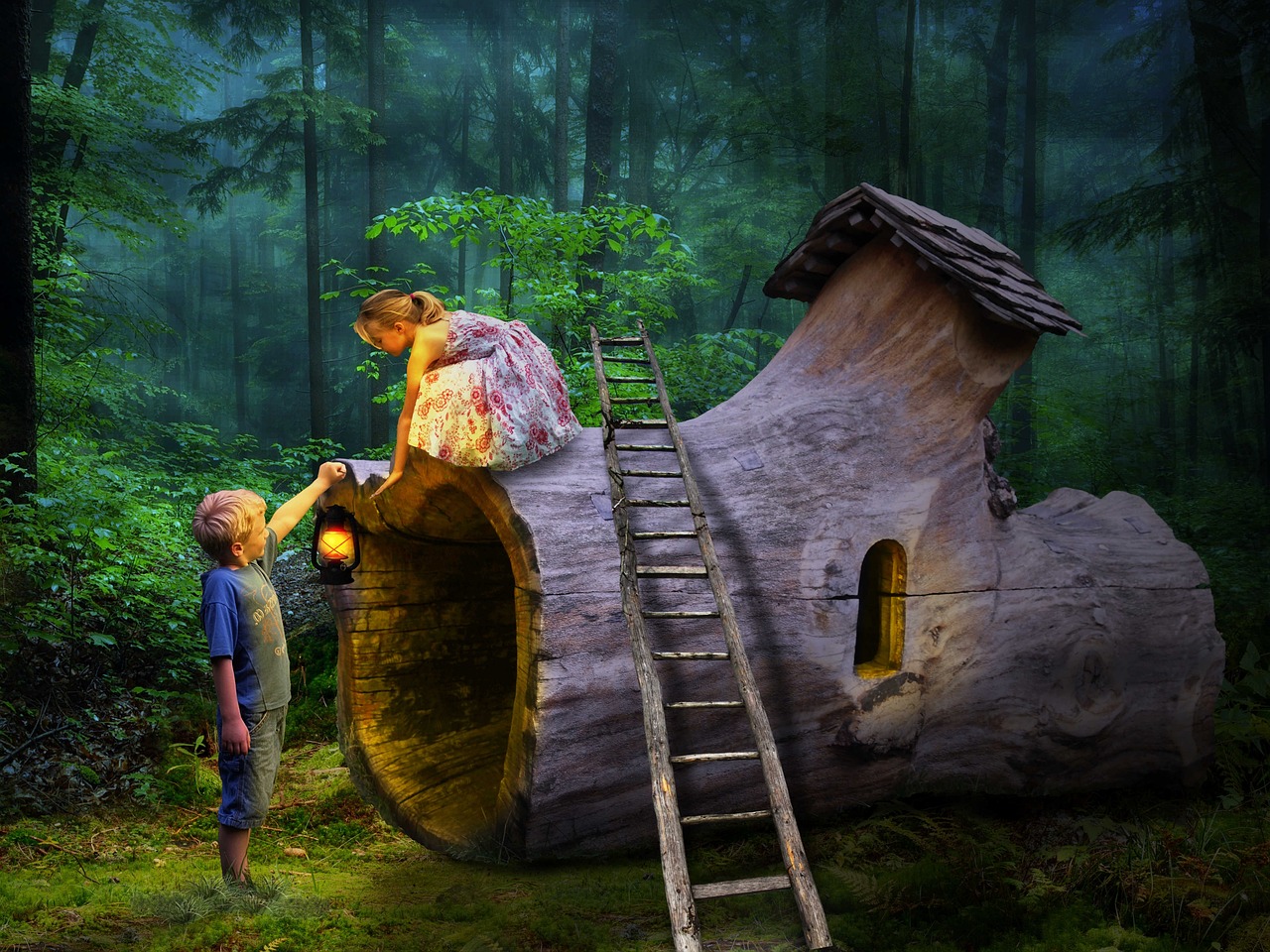 The Discovery